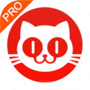 猫眼票房专业版安卓版v6.5.0