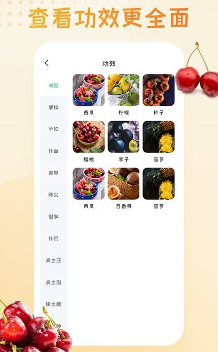 水果大全手机版安卓app下载