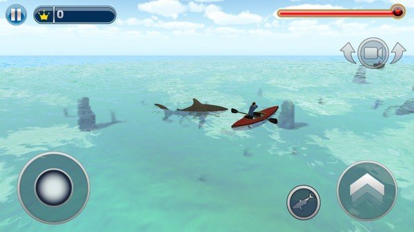 海洋的杀手鲨