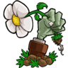 植物大战僵尸贝塔版安卓版v2.8.1