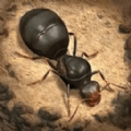 荒野蚂蚁模拟官方版