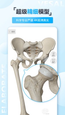 维萨里3D解剖安卓版v5.5.0