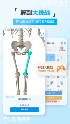 维萨里3D解剖安卓版v5.5.0