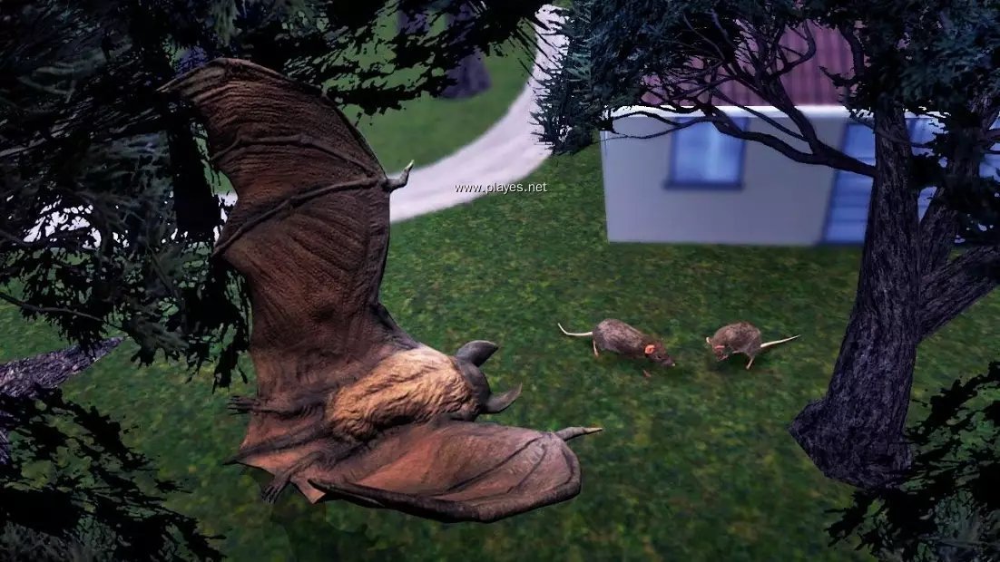 吸血蝙蝠模拟器3D(Wild Bat Simulator 3D)