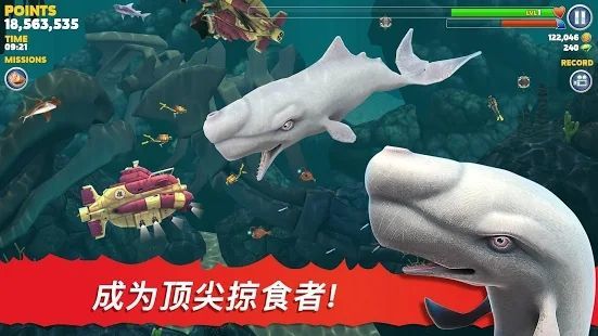 饥饿鲨进化中文版