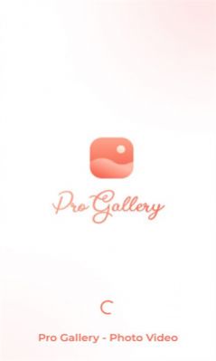 pro gallery正式版