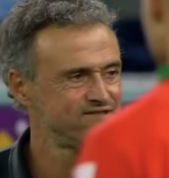西班牙主教练表情包最新版