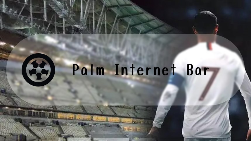 Palm Internet Bar最新版