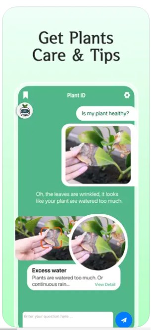 AI Plant Care Expert Assistant安卓版