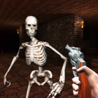 枪战骷髅：生存射击3D免费版